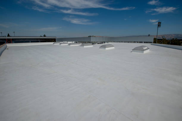 Skylights in Scotland Neck, NC