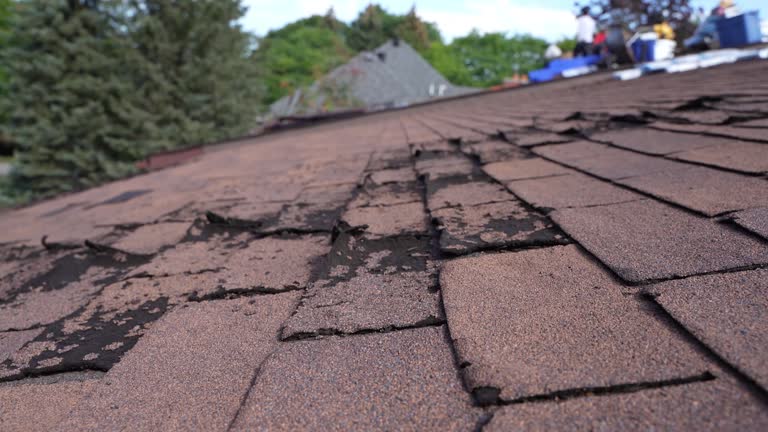 Best Rubber Roofing (EPDM, TPO)  in Scotland Neck, NC