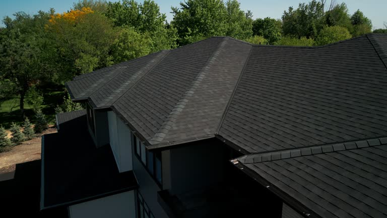 Best Chimney Flashing Repair  in Scotland Neck, NC