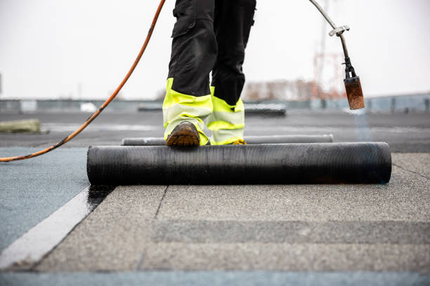 Best Skylight Installation and Repair  in Scotland Neck, NC